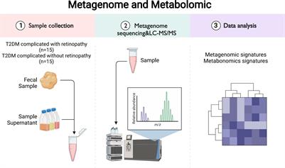 Metagenomic shotgun sequencing and metabolomic profiling identify specific human gut microbiota associated with diabetic retinopathy in patients with type 2 diabetes